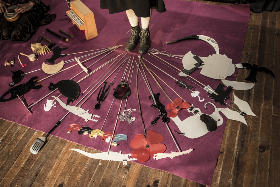 Chez la Cie Marche ou Rêve / 2013