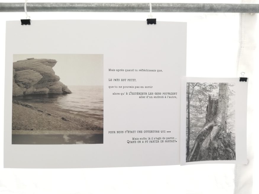 Mon père ce hongrois / 2019