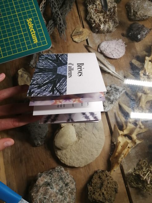 Brèves d’ailleurs / 2022